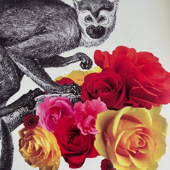 Urban Outfitters Framed Art - Picture 2 of 8